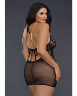 Fishnet and Lace Chemise – Plus Size