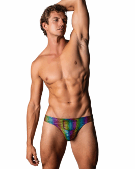 Tanga met Voorzak en Kobalt Cockring – L/XL – Regenboog