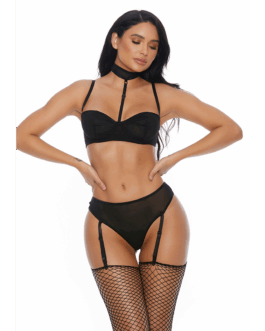 Right Sheer Right Now – Bra and Panty with Suspender Straps – XL