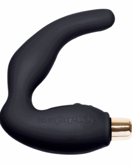 Naughty Boy – Prostate Massager