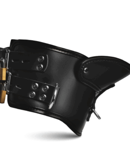 Rigid – Vergrendelbare Houdingskraag met Kinsteun – Zwart