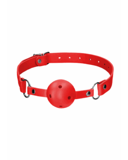Ball Gag