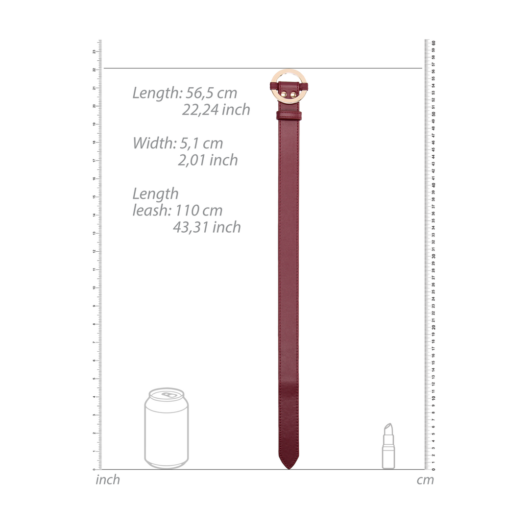 Luxe Halsband met Leash - Afbeelding 6