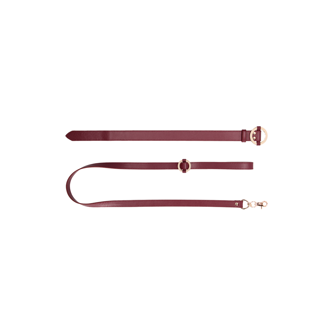 Luxe Halsband met Leash - Afbeelding 5