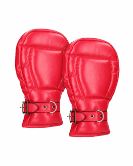 Neopreen Hondenhandschoenen