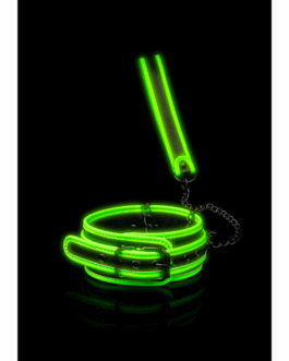 Halsband en Leash – Glo in het Donker
