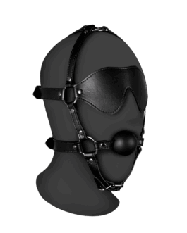 Blindfolded Head Harness met Solid Ball Gag – Zwart