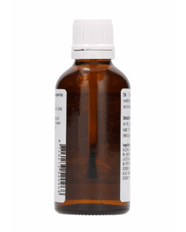 China Brush XL – Vertraging Serum – 2 fl oz / 50 ml