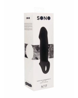 No.17 – Dong Extension