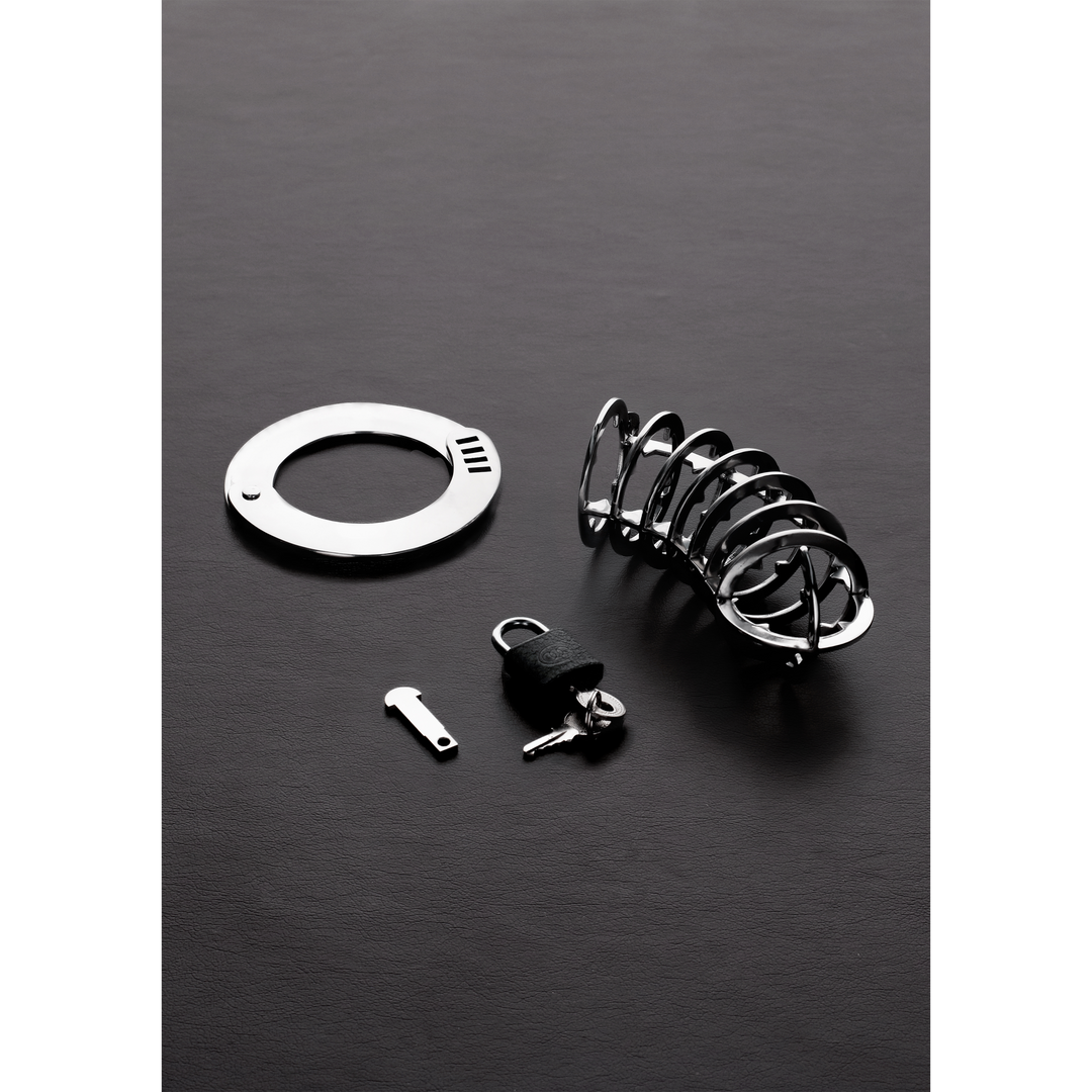 De Spiked Chastity Cage - Afbeelding 2