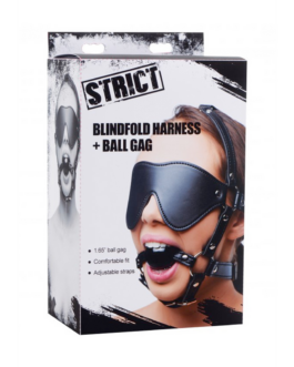 Oogmasker met Ballgag Harness