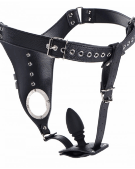 Kruisigingsharnas voor Mannen + Siliconen Butt Plug