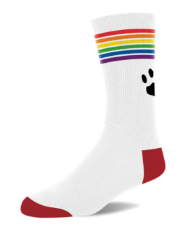 Pride Sokken – Wit/Pride