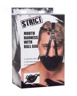 Mondharnas met Ball Gag