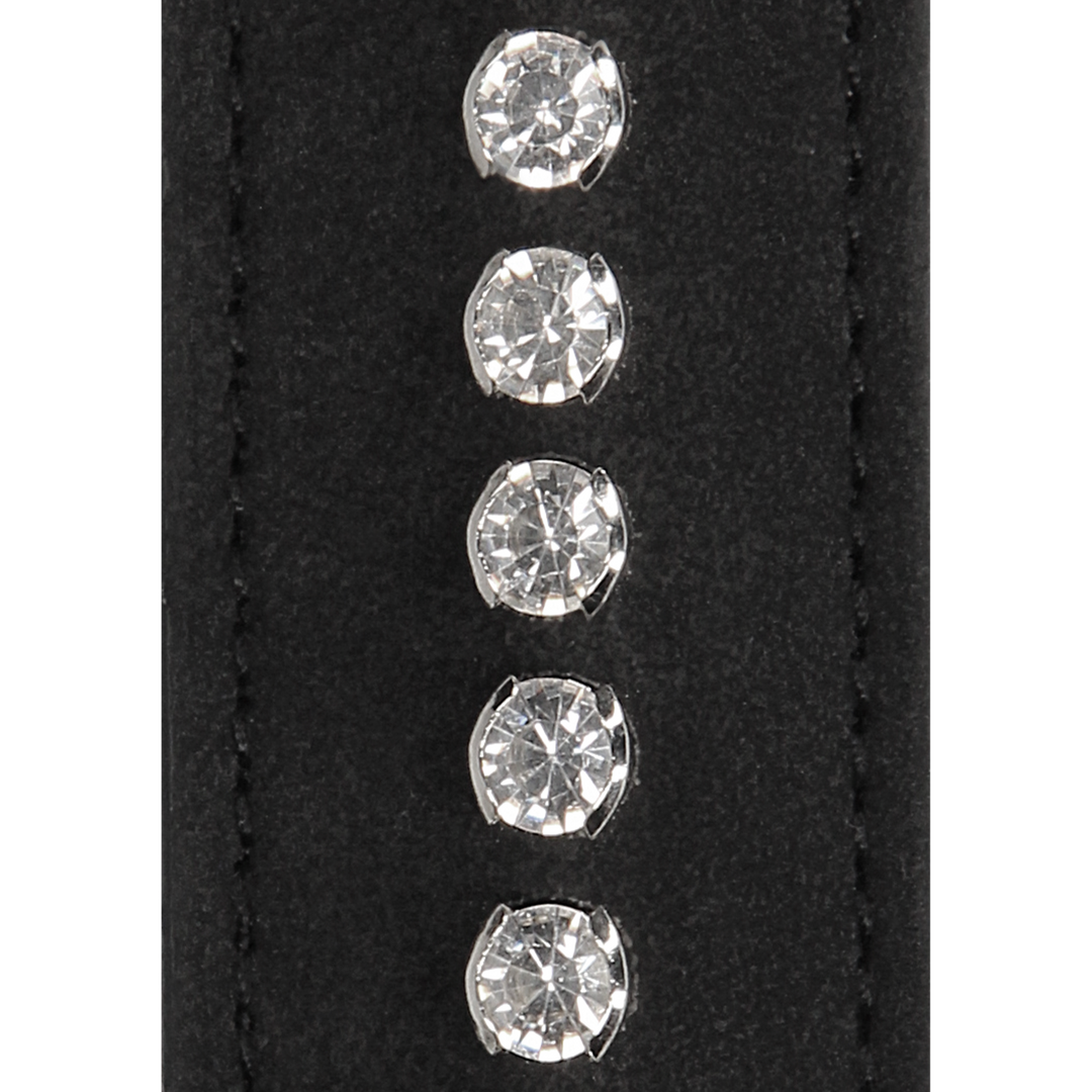 Diamanten Halsband met Leash - Afbeelding 7