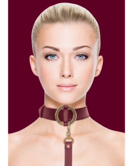 Luxe Halsband met Leash