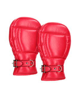 Neopreen Hondenhandschoenen