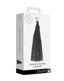 Diamanten Studded Whip