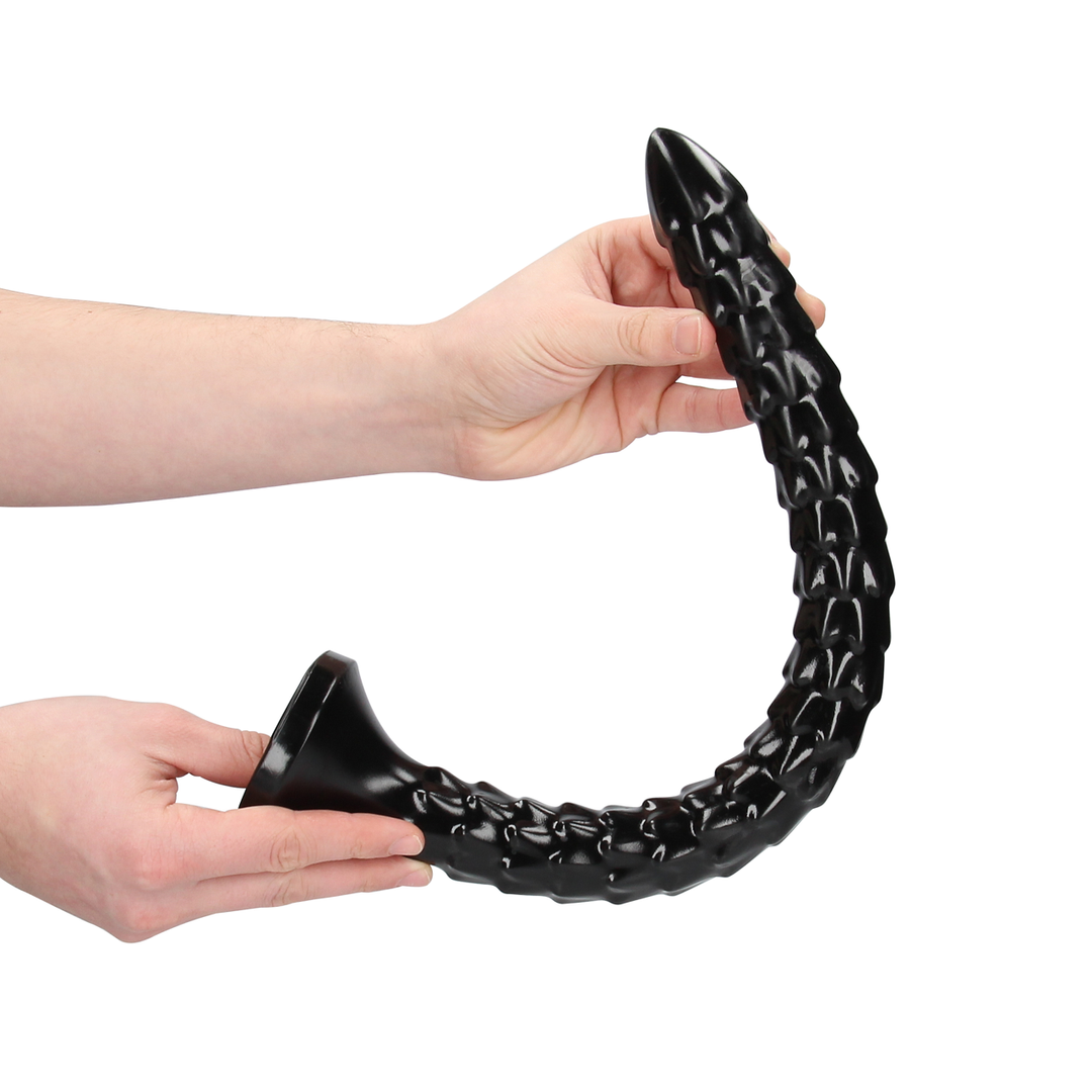 Schaal Anal Snake - 16''/ 40 cm - Afbeelding 6